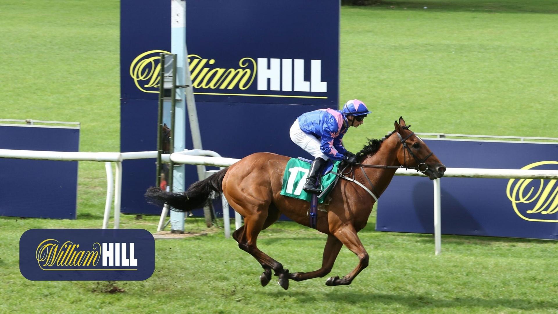 bono-william-hill-ninjabet-matched-betting-apuestas-online-betfair-tomarle-el-pelo-al-corredor-de-apuestas